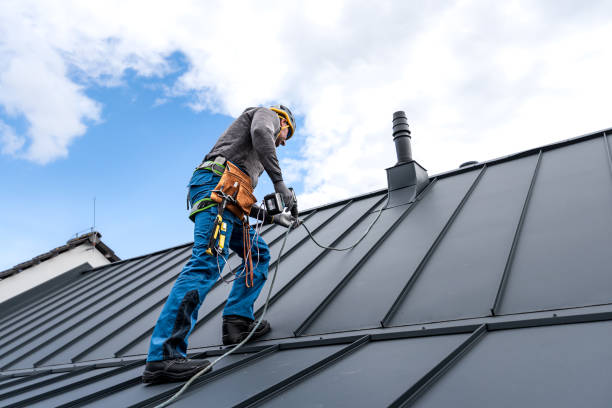 Best Sheet Metal Roofing  in Amherst, WI